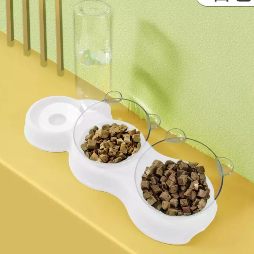 Dog cat pet food water bowl 3 in 1 set feeder automatic water bottle Bear